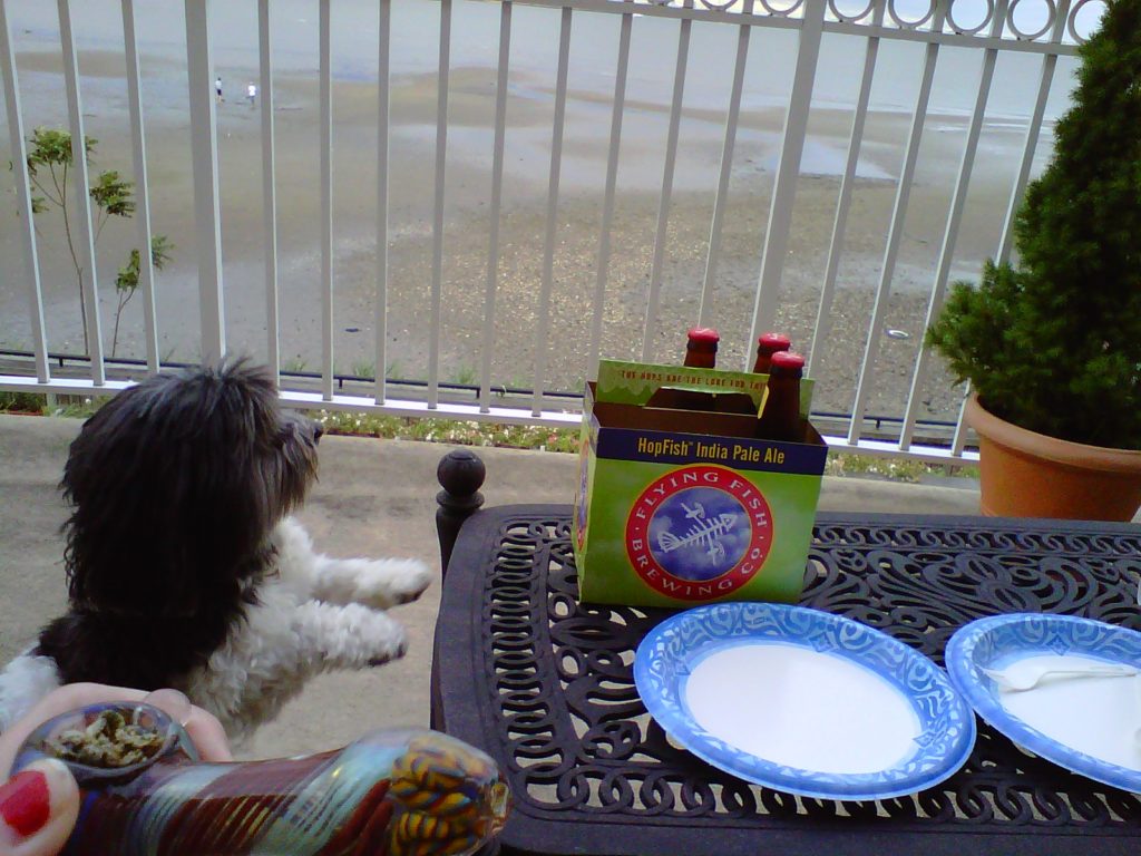 dog bowl weed beer